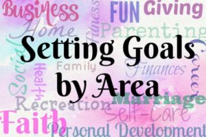 Setting Goals by Area